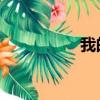 我的名字叫金三順插曲