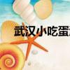 武漢小吃蛋酒怎么做（武漢蛋酒的做法）