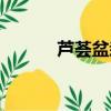 蘆薈盆栽種植方法（蘆薈盆栽）