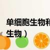 單細胞生物和多細胞生物分別有哪些（單細胞生物）