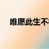 唯愿此生不相逢小說（唯愿此生不相逢）