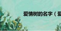 愛情樹的名字(愛情樹)