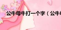 公牛母牛打一個字(公牛母牛打三個字)
