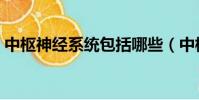 中樞神經系統包括哪些(中樞神經系統包括)
