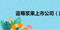 藍莓漿果上市公司(藍莓漿果)