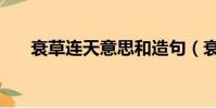 衰草連天意思和造句(衰草連天意思)