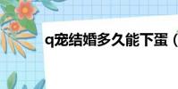 q寵結婚多久能下蛋(q寵結婚)