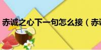 赤誠之心下一句怎么接(赤誠之心什么意思)