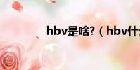 hbv是啥?(hbv什么意思)