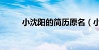 小沈陽的簡歷原名(小沈陽資料)