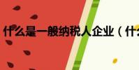 什么是一般納稅人企業(什么是一般納稅人)