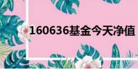 160636基金今天凈值(160636)