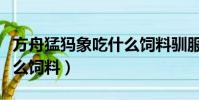 方舟猛犸象吃什么飼料馴服(方舟猛犸象吃什么飼料)