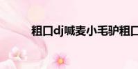 粗口dj喊麥小毛驢粗口(粗口dj)