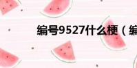 編號9527什么梗(編號9527)