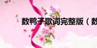 數鴨子歌詞完整版(數鴨子歌詞)