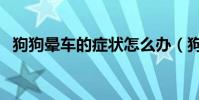 狗狗暈車的癥狀怎么辦(狗狗暈車的癥狀)