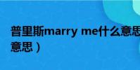 普里斯marry me什么意思(marry me什么意思)