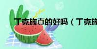 丁克族真的好嗎(丁克族是什么意思)