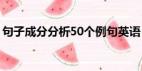 句子成分分析50個例句英語(句子成分分析)