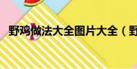 野雞做法大全圖片大全(野雞的做法大全)