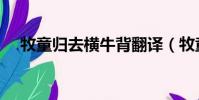 牧童歸去橫牛背翻譯(牧童歸去橫牛背)