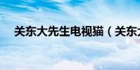 關東大先生電視貓(關東大先生演員表)