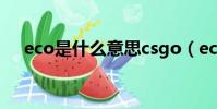 eco是什么意思csgo(eco是什么意思)
