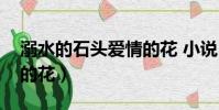 溺水的石頭愛情的花 小說(溺水的石頭愛情的花)
