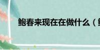 鮑春來現在在做什么(鮑春來女友)