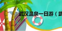 武漢溫泉一日游(武漢溫泉)