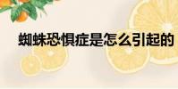 蜘蛛恐懼癥是怎么引起的(蜘蛛恐懼癥)