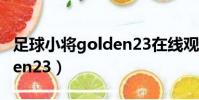 足球小將golden23在線觀看(足球小將golden23)