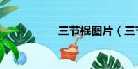 三節棍圖片(三節棍)