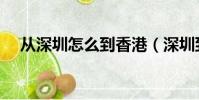 從深圳怎么到香港(深圳到香港怎么走)