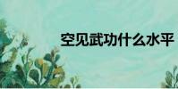 空見武功什么水平(空見)