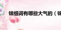 錦組詞有哪些大氣的(錦組詞有哪些)