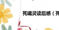 死魂靈讀后感(死魂靈)
