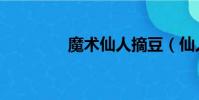 魔術仙人摘豆(仙人摘豆)