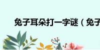 兔子耳朵打一字謎(兔子耳朵打一字)
