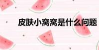 皮膚小窩窩是什么問題(小窩皮膚)