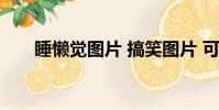 睡懶覺圖片 搞笑圖片 可愛(睡懶覺)