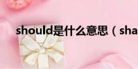 should是什么意思(shall是什么意思)