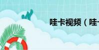 哇卡視頻(哇卡)