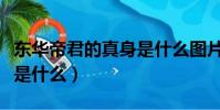 東華帝君的真身是什么圖片(東華帝君的真身是什么)