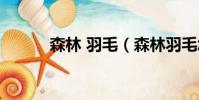 森林 羽毛(森林羽毛怎么獲得)