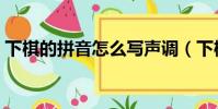 下棋的拼音怎么寫聲調(下棋的拼音怎么寫)