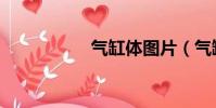 氣缸體圖片(氣缸體)