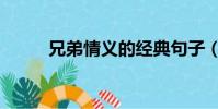 兄弟情義的經典句子(兄弟情義)