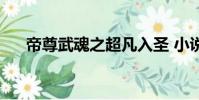 帝尊武魂之超凡入圣 小說(帝尊武魂)